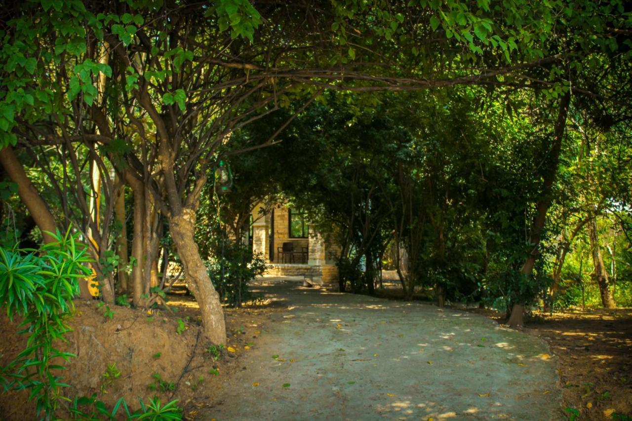 Panna Tiger Resort- Riverside Property Rājgarh Buitenkant foto